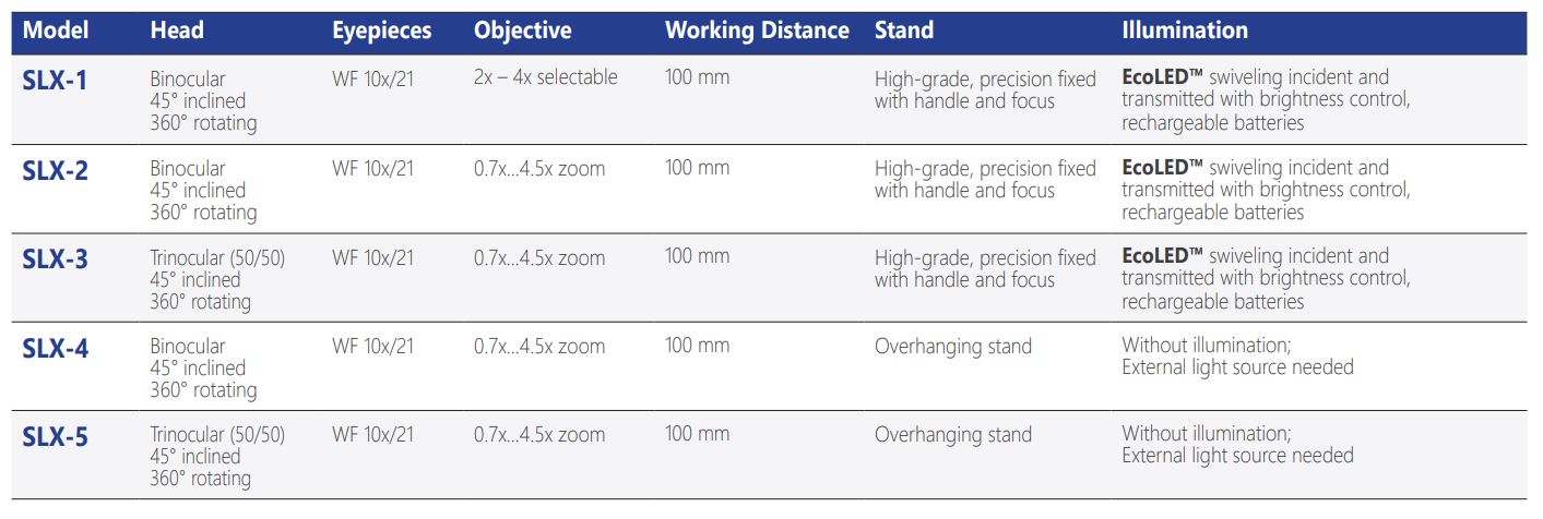 Model overview