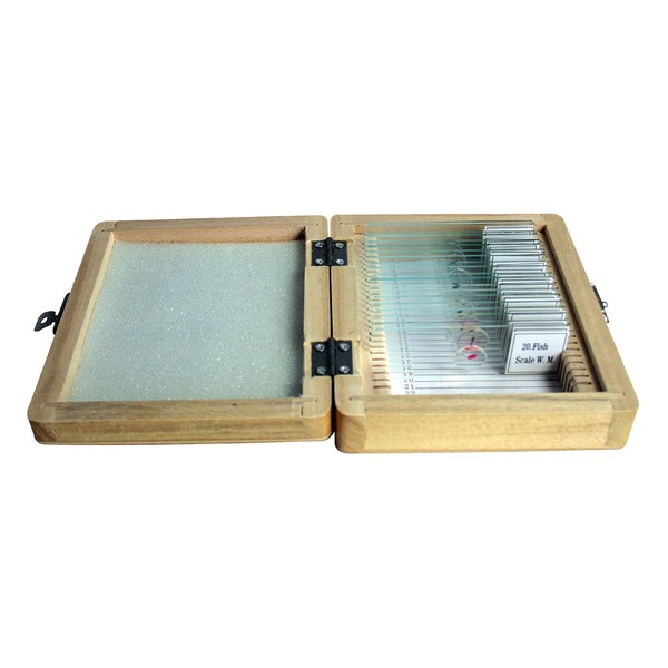 Omegon Prepared slide set, 20 slides in a wooden box