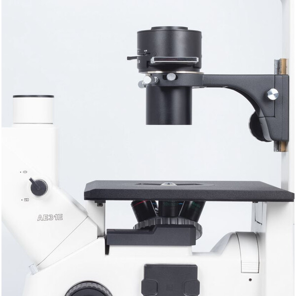 Motic Inverted microscope AE31E trino, infinity, 40x-400x, phase, Hal, 30W