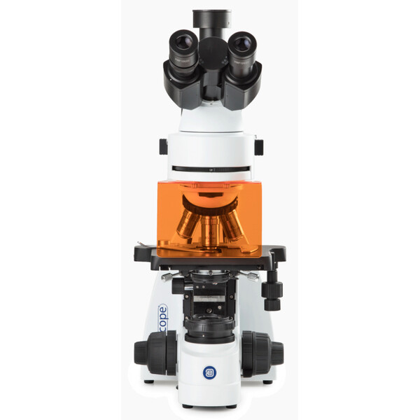 Euromex microscope BS.3153-PLFi, trino, 40x-1000x