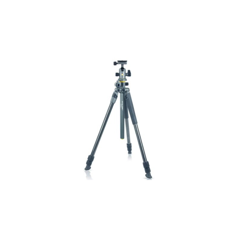 Vanguard Carbon tripod Alta Pro 2+ 263CB 100