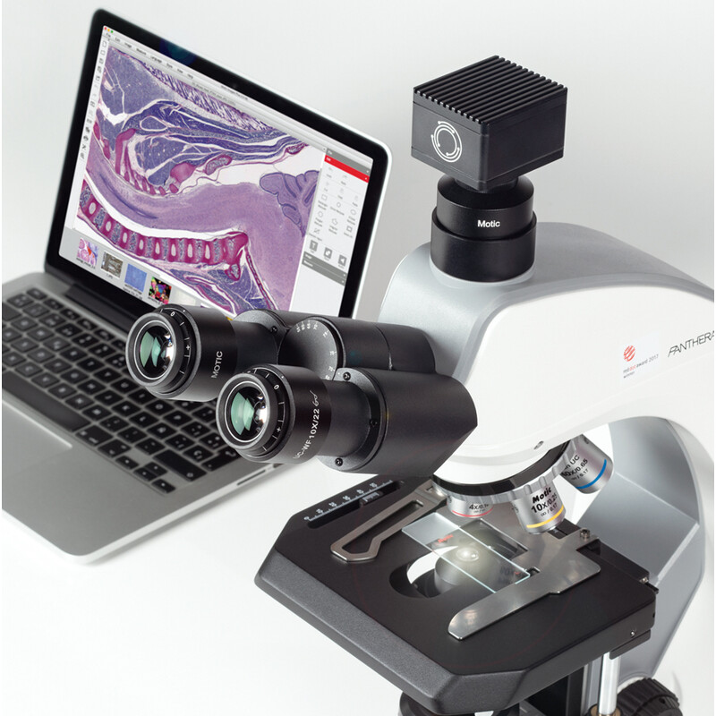 Motic Microscope Panthera C2 Trinocular, infinity, plan, achro, 40x-1000x, 10x/22mm, Halogen/LED