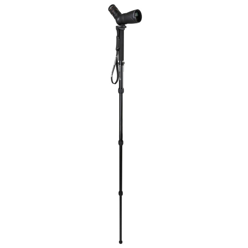 Celestron Aluminium monopod Hummingbird